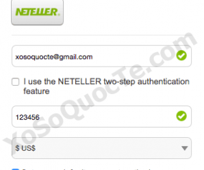 How To Use Neteller E-wallet To Buy Powerball Tickets Online ?