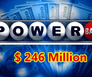 One Lucky Man Gets $1 Million, Power Ball Stands At $246 Million